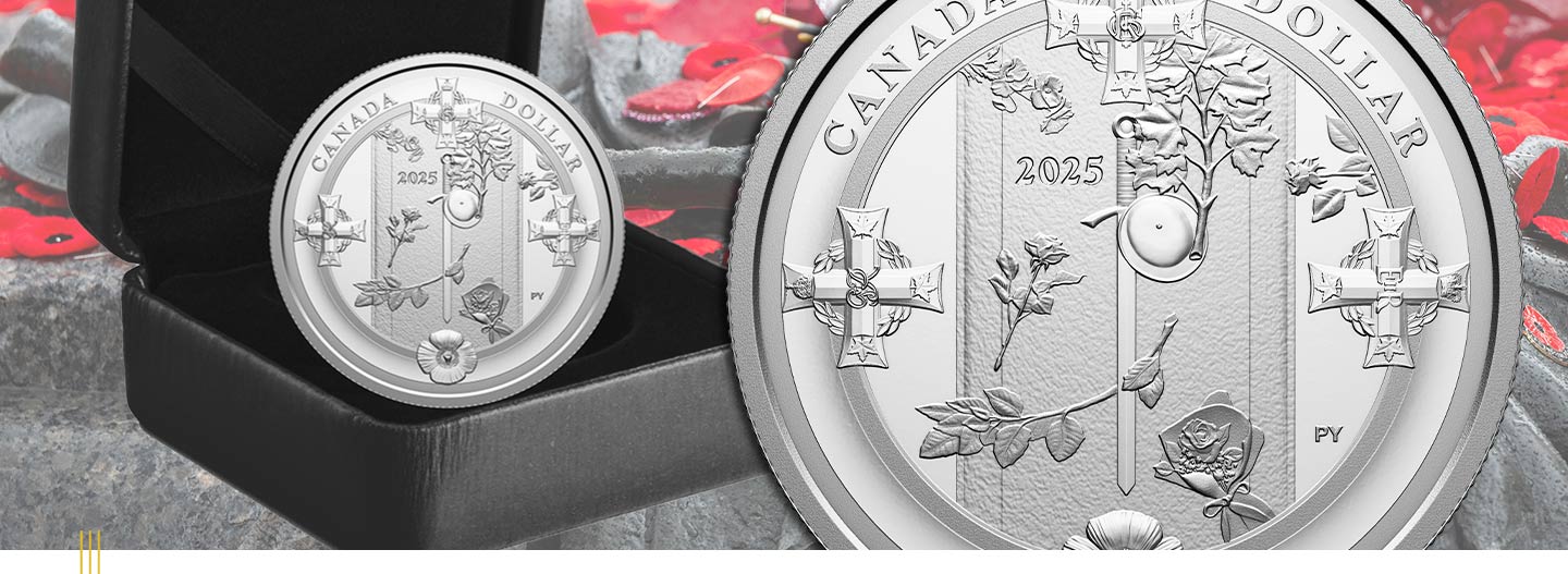 Artist rendering of the Unknown Solider commemorative coin